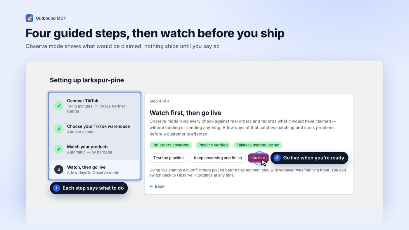 Four-step setup wizard on its last step with the Go live button
